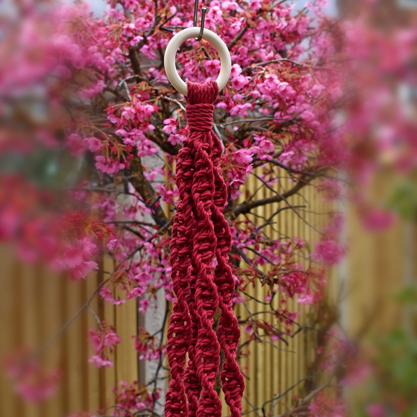 Macrame Plant Hanger - Solid Colour (Beads) - Home of Yoga