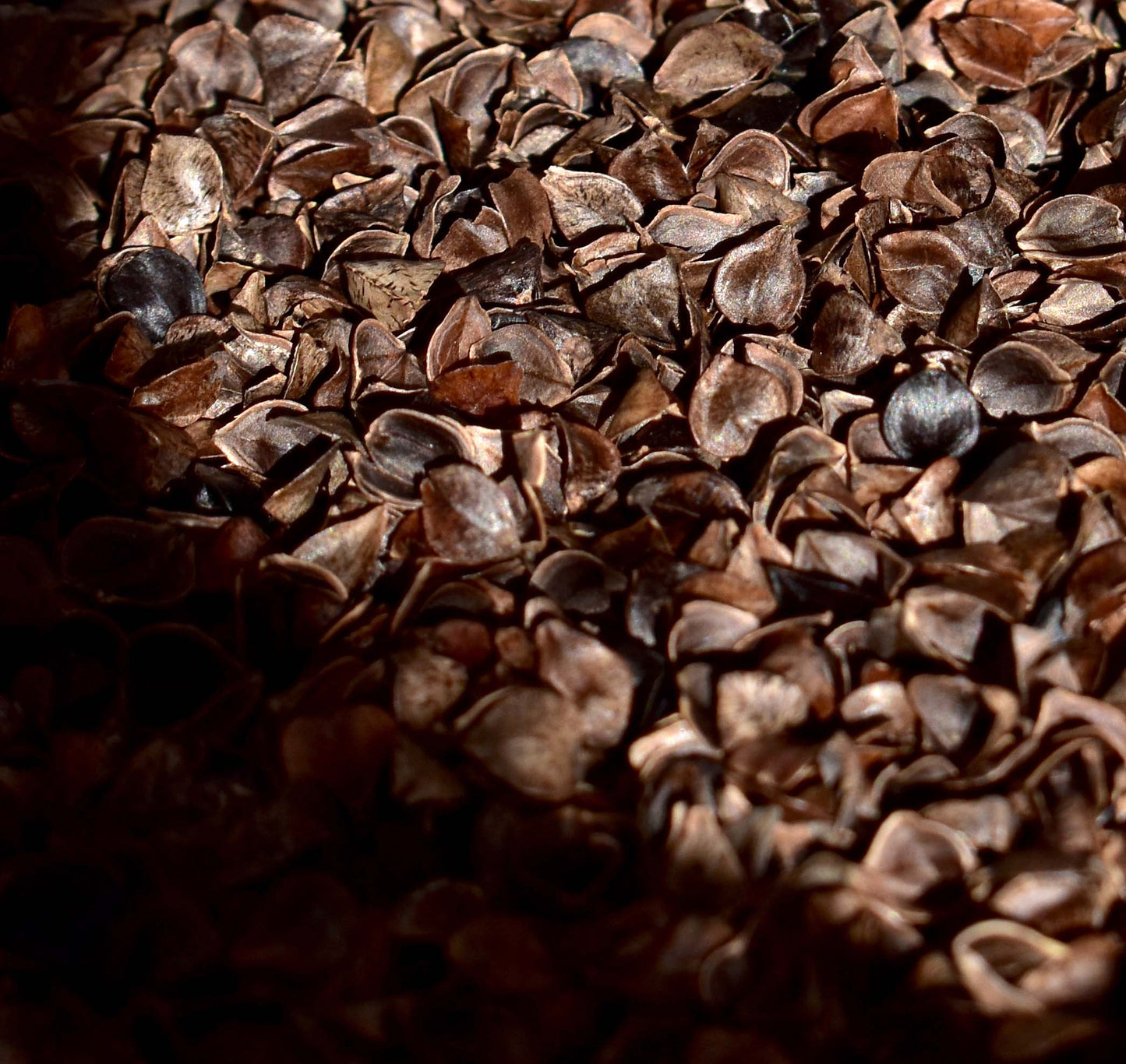 Pink Wellness Trio - Home of Yoga